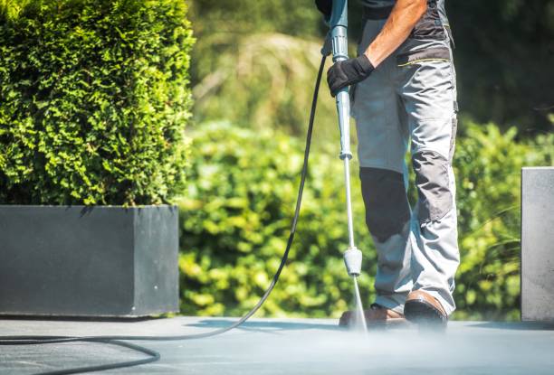 Best Pre-Holiday Cleaning  in Nicholson, GA